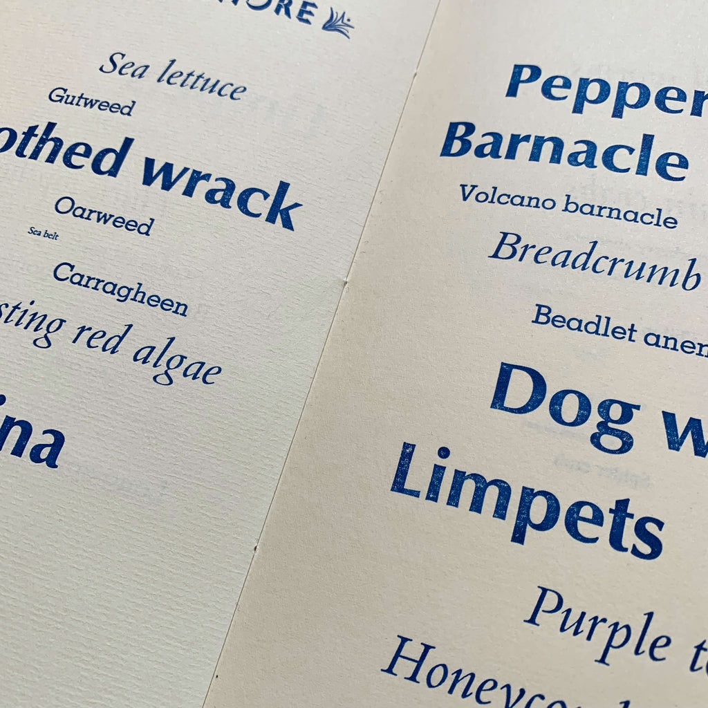Species artist's book