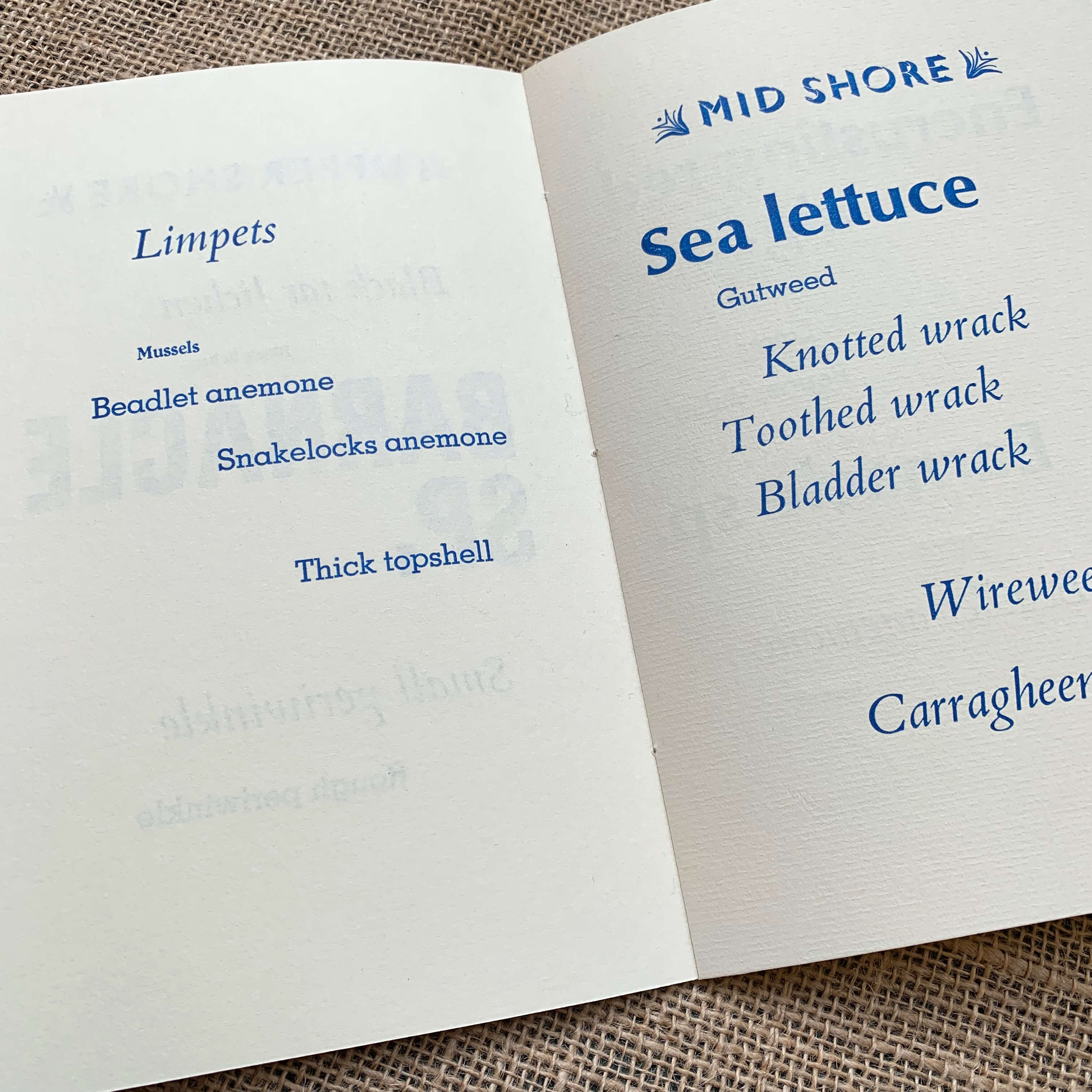 Species artist's book