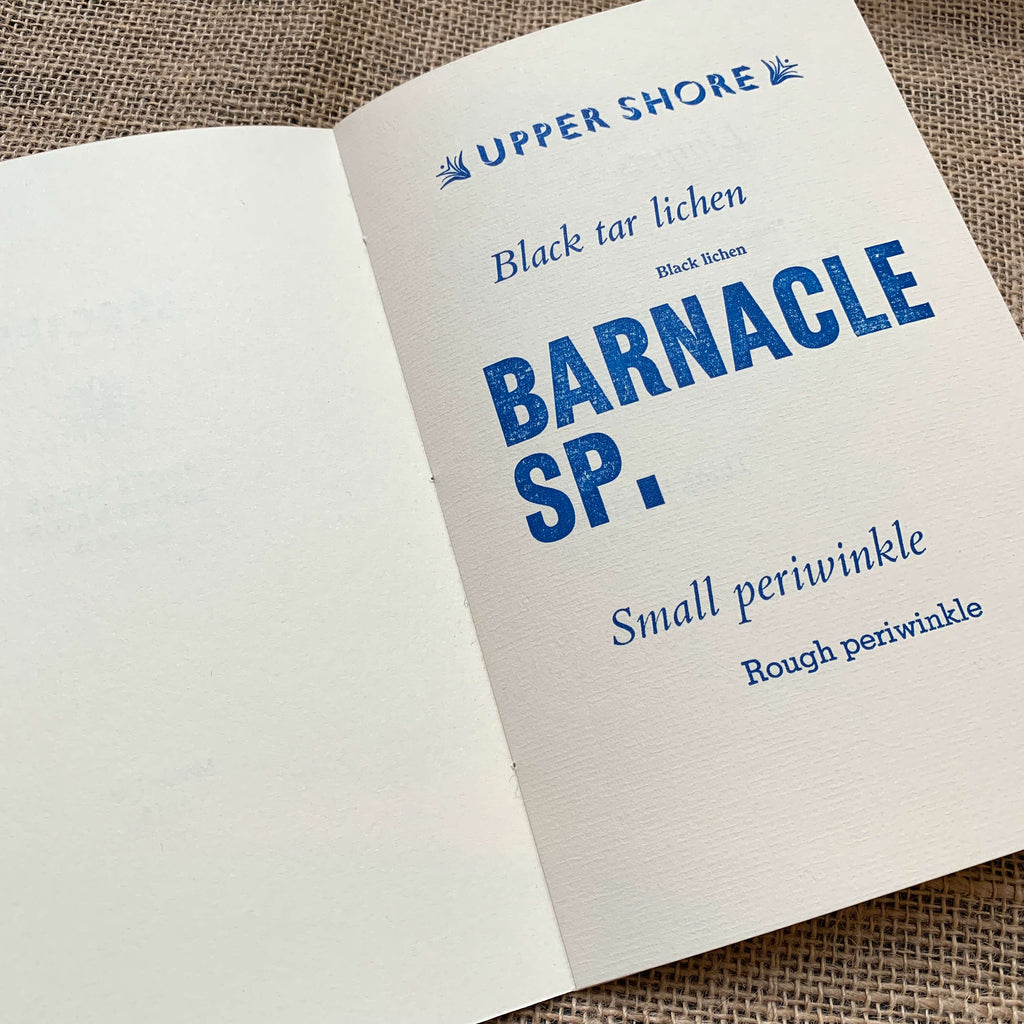 Species artist's book